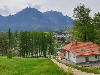 Виллы Vila Castel Cantacuzino Буштени Вилла Делюкс-1
